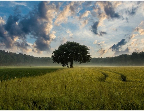 特克斯科技集團聲明書