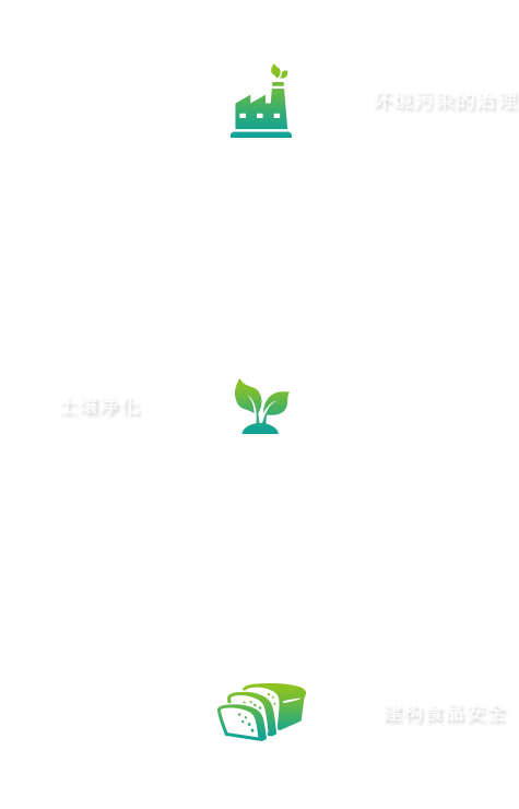 一个可以彻底解决问题的系统